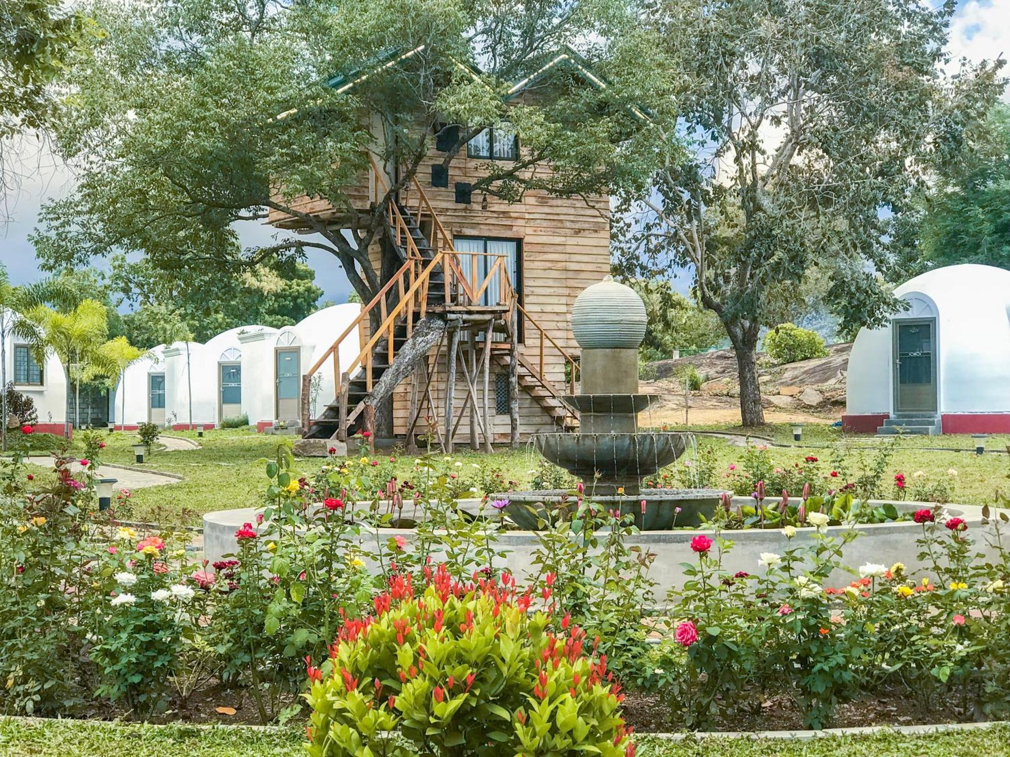 Hotel The Lion Kingdom Sigirija Zewnętrze zdjęcie